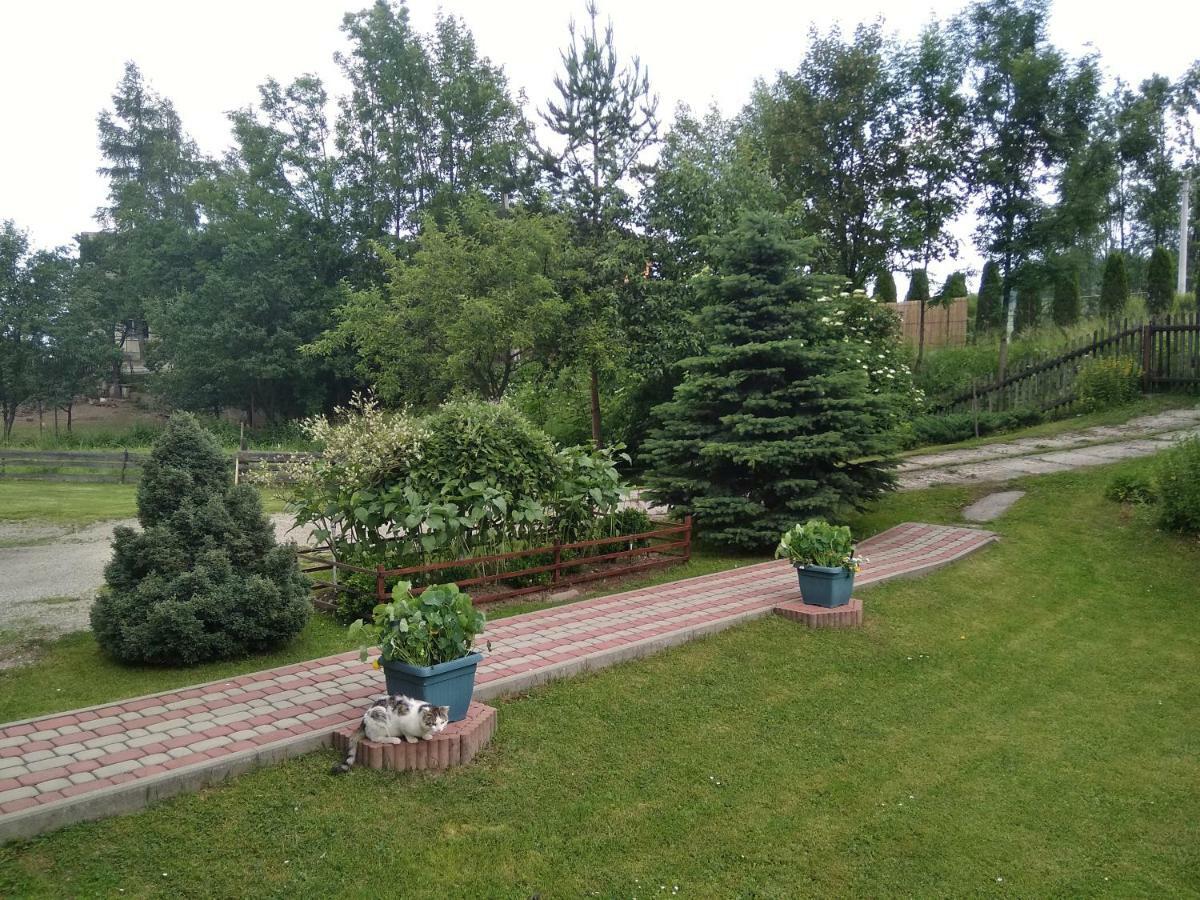 Apartament Widok Czarna Góra 外观 照片